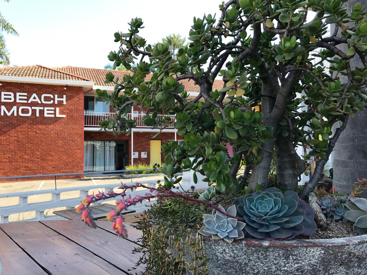 Thirroul Beach Motel Ngoại thất bức ảnh